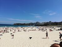 Bondi Beach