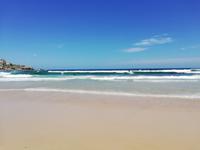 Bondi Beach