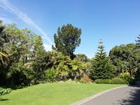 Botanischer Garten Melbourne