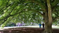Christchurch - Rundeise Neuseeland