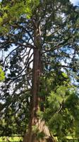 Christchurch - Rundeise Neuseeland