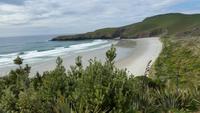 Dunedin - Otago Halbinsel - Rundeise Neuseeland - Südinsel