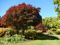 Dunedin - Rundeise Neuseeland - Südinsel