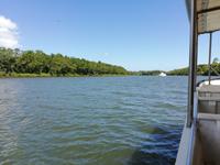 Fahrt auf dem Daintree River
