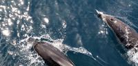 Kaikoura - Rundeise Neuseeland - Südinsel