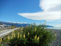 Kaikoura - Rundeise Neuseeland - Südinsel