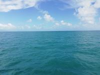 Katamaranfahrt mit der Ocean Spirit zum Great Barrier Reef