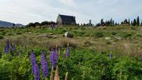 Lake Tekapo - Rundeise Neuseeland - Südinsel