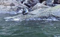 Milford Sound - Rundeise Neuseeland - Südinsel