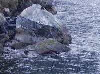 Milford Sound - Rundeise Neuseeland - Südinsel