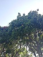 Port Douglas