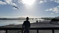 Rotorua - Rundeise Neuseeland - Nordinsel