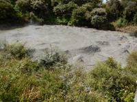 Rotorua - Rundeise Neuseeland - Nordinsel