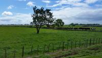 Rundeise Neuseeland - Nordinsel