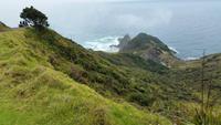 Rundeise Neuseeland - Nordinsel
