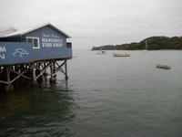 Rundeise Neuseeland - Nordinsel