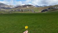 Rundeise Neuseeland - Südinsel