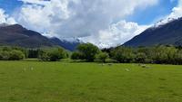 Rundeise Neuseeland - Südinsel