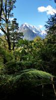 Rundeise Neuseeland - Südinsel