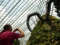Singapur - Rundeise Neuseeland