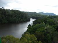 Skyrail nach Kuranda (2)