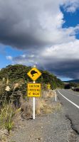 Tag 10 - Kiwi-Straßenschild