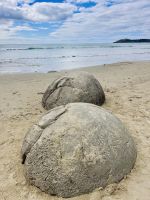Tag 15 - Steinkugeln am Moeraki Boulders Beach