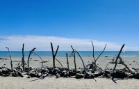 Tag 20 - Hokitika
