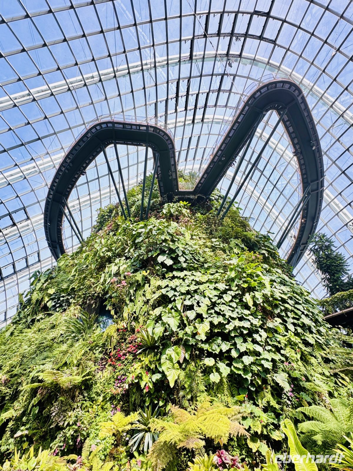Tag 3 - Gardens by the Bay, Cloud Forest