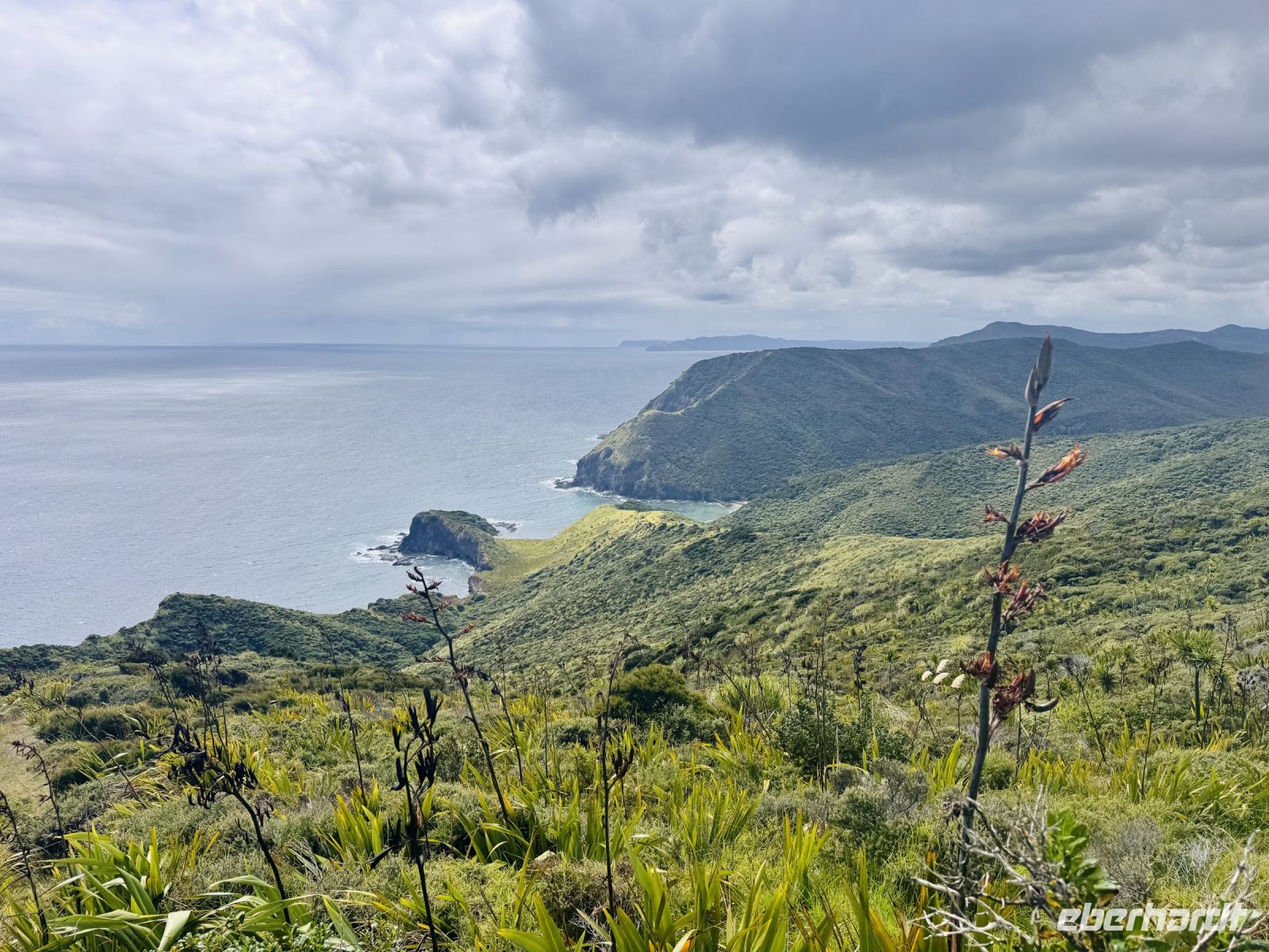 Tag 6 - Cape Reinga 
