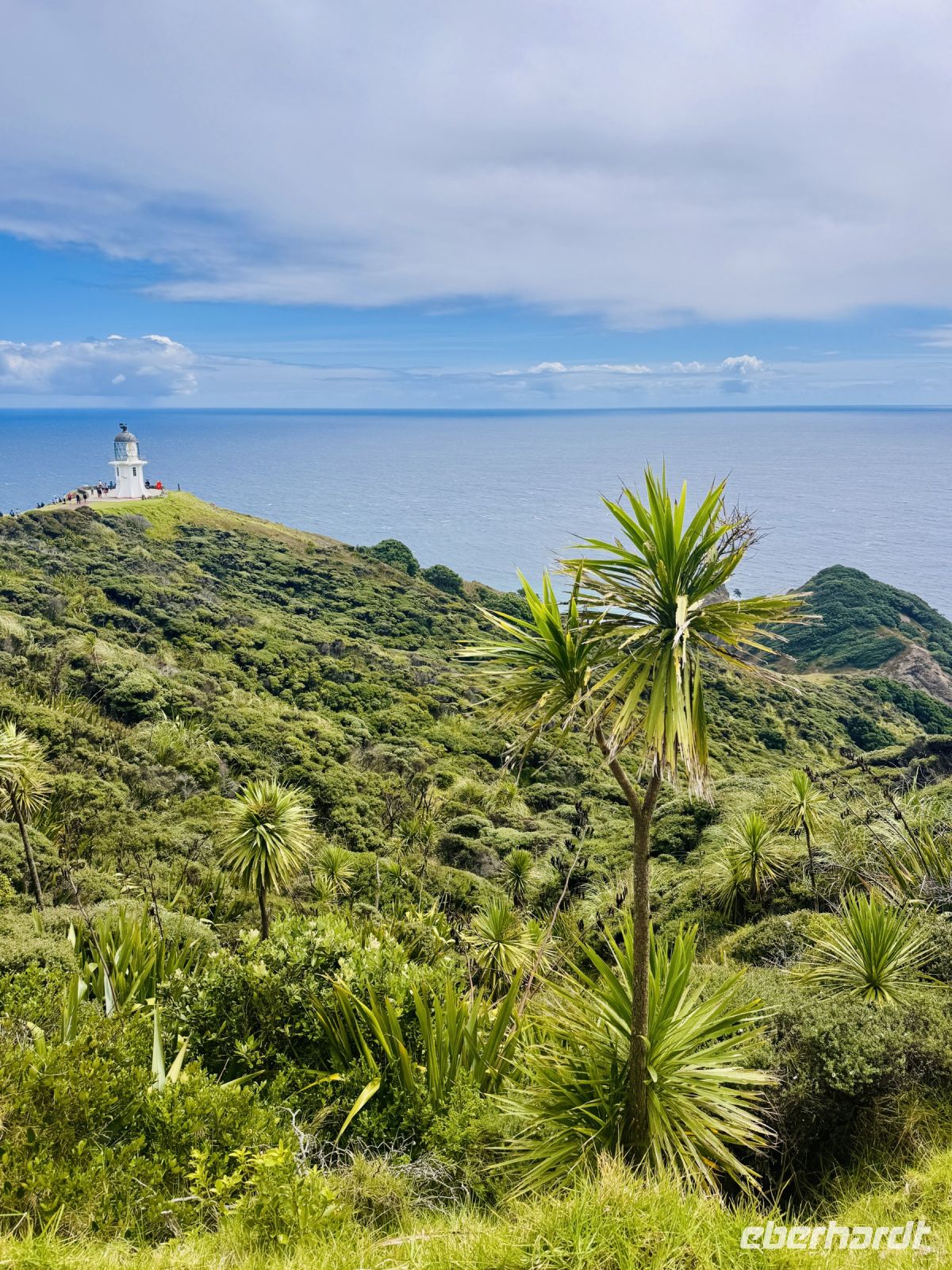 Tag 6 - Cape Reinga 