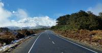 Tongariro-Nationalpark  - Rundeise Neuseeland - Nordinsel