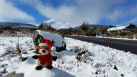 Tongariro-Nationalpark  - Rundeise Neuseeland - Nordinsel
