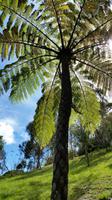Wellington - Rundeise Neuseeland - Nordinsel