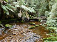 039.Franklin NP