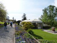 008.Botanischer Garten-Hobart