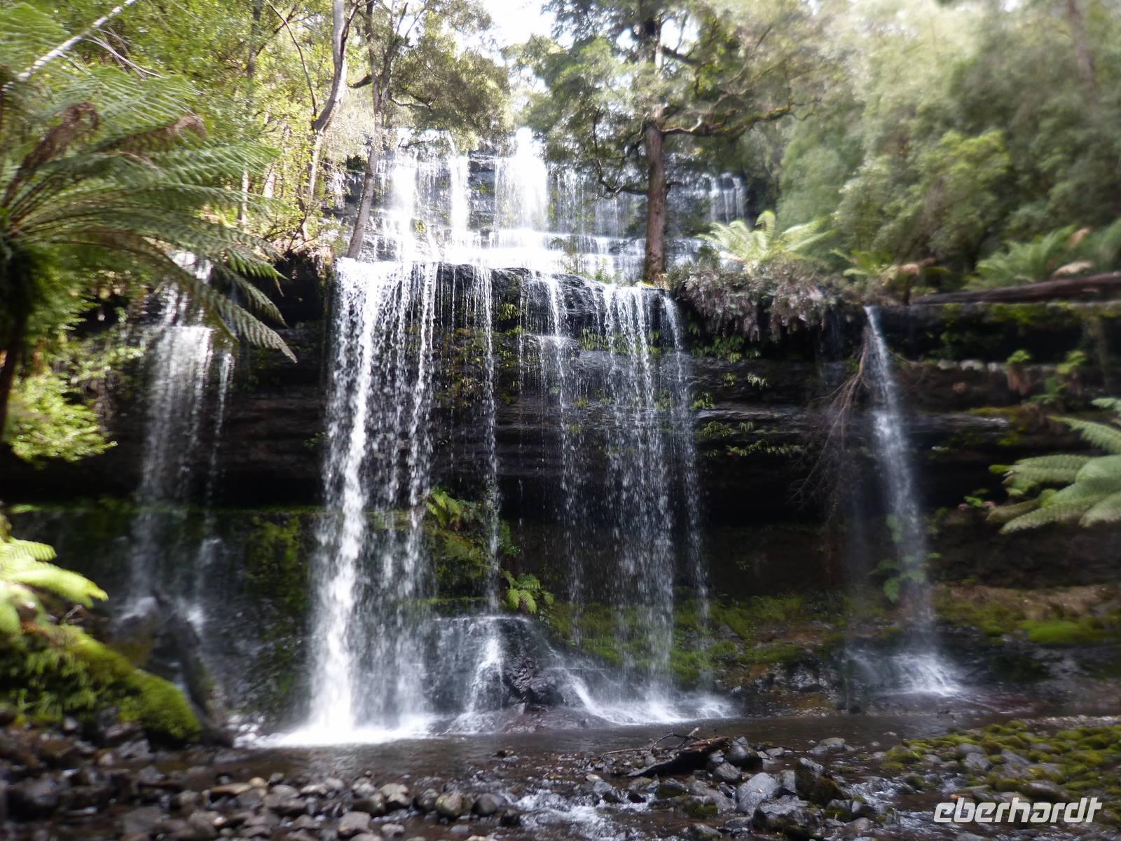 028.Mt.Field NP-Russel Wasserfall