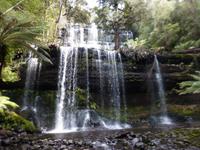 028.Mt.Field NP-Russel Wasserfall