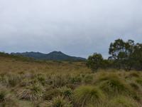 035.Tasmanien-unterwegs