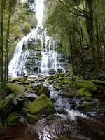 040.Franklin NP-Nelson Wasserfall