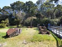 079.Strahan-Bootsfahrt-Sarah Insel