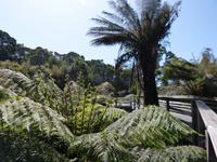 083.Strahan-Bootsfahrt-Sarah Insel