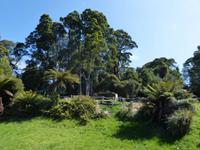 084.Strahan-Bootsfahrt-Sarah Insel