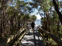 090.Strahan-Bootsfahrt-Sarah Insel