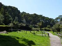 091.Strahan-Bootsfahrt-Sarah Insel