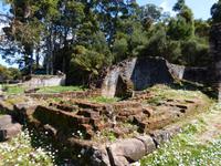 093.Strahan-Bootsfahrt-Sarah Insel