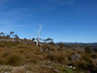 101.unterwegs-Tasmanien