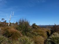 102.unterwegs-Tasmanien