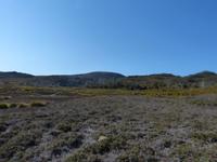119.Cradle Mountain NP