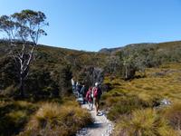 121.Cradle Mountain NP